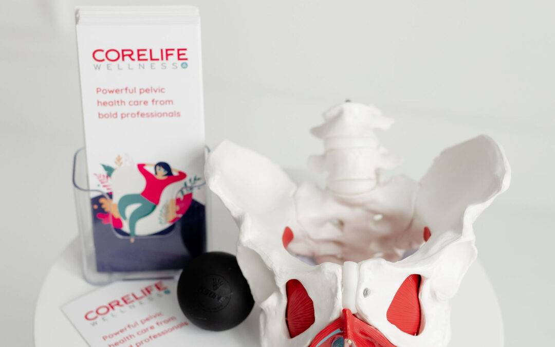 What Is the Pelvic Floor and Why Does It Matter for Your Health at Every Age