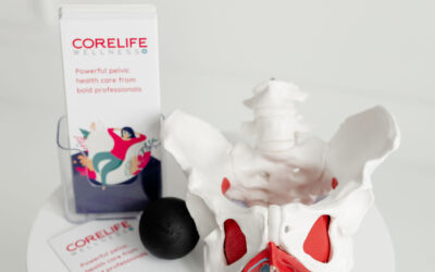 What Is the Pelvic Floor and Why Does It Matter for Your Health at Every Age